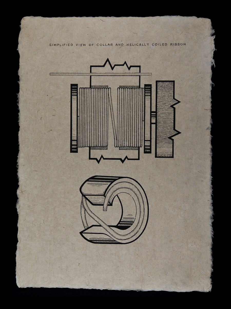 Simplified view of collar and helically coiled ribbon. 2012<b>Ink on Handmade Bhutan Paper<br />
13" x 18"</b>